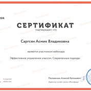 Сертификат. Эффективное управление классом