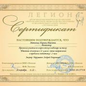 Сертификат: "Как писать сочинение на ЕГЭ"