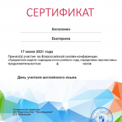 Сертификат участия во Всероссийской онлайн-конференции