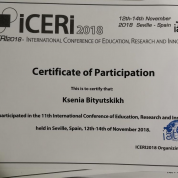 Сертификат участника международной конференции