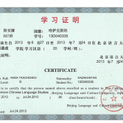 Сертификат - интенсивный курс китайского языка (Уровень В)