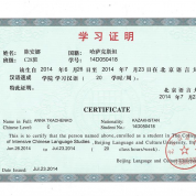 Сертификат - интенсивный курс китайского языка (Уровень С)