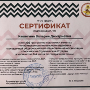 Сертификат вожатого. РСО. 144 часа