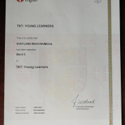 TKT: YOUNG LEARNERS