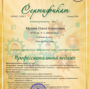 Сертификат о завершении курса "Профессиональный педагог"