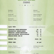 Сертификат Гете института, немецкий язык