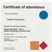 English teaching at primary level
