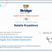 Bridge (teachers' development webinars)