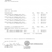 Университет Лунда (Швеция), специализация - Шведский язык как второй иностранный