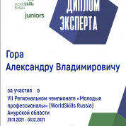 Диплом эксперта World Skills