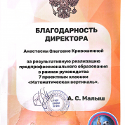 Благодарность директора